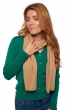 Cashmere accessories scarf mufflers ozone camel 160 x 30 cm