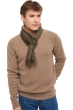 Cashmere accessories scarf mufflers zak170 ivy green 170 x 25 cm