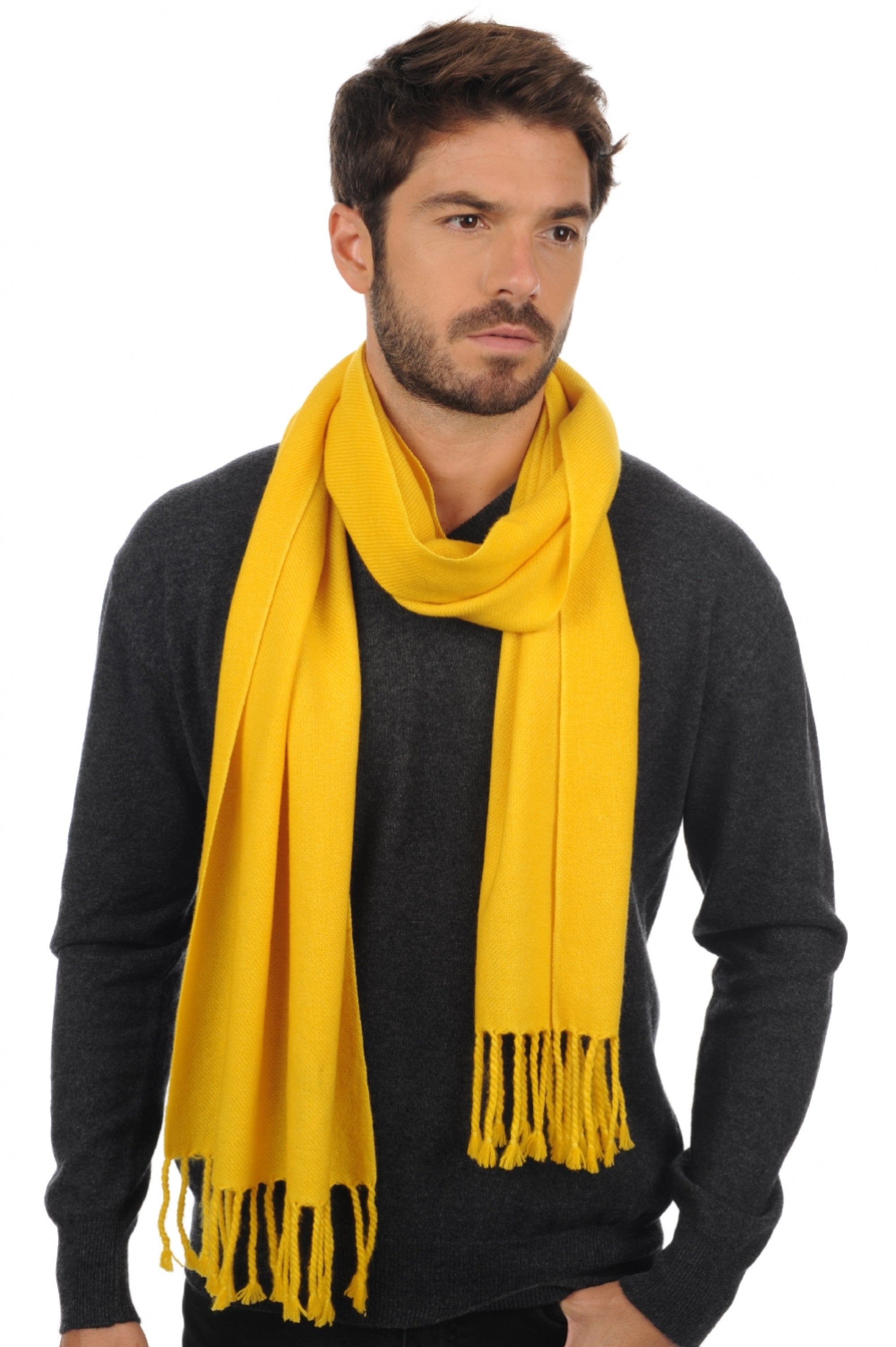 Zak200 in men's cashmere - sunflower - Mahogany