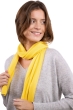 Cashmere accessories ozone daffodil 160 x 30 cm
