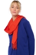Cashmere accessories scarf mufflers kazu200 paprika 200 x 35 cm