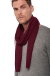 Cashmere accessories scarf mufflers ozone burgundy 160 x 30 cm