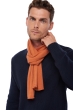 Cashmere accessories scarf mufflers ozone butternut 160 x 30 cm