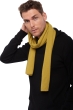 Cashmere accessories scarf mufflers ozone caterpillar 160 x 30 cm