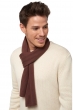 Cashmere accessories scarf mufflers ozone chocobrown 160 x 30 cm