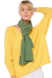 Cashmere accessories scarf mufflers ozone foliage 160 x 30 cm