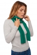 Cashmere accessories scarf mufflers ozone green grass 160 x 30 cm