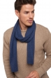 Cashmere accessories scarf mufflers ozone indigo 160 x 30 cm