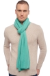 Cashmere accessories scarf mufflers wifi nile 230cm x 60cm