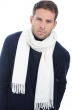 Cashmere accessories scarf mufflers zak170 milk 170 x 25 cm