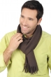 Cashmere accessories scarf mufflers zak170 seal brown 170 x 25 cm