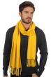 Cashmere accessories scarf mufflers zak200 cyber yellow 200 x 35 cm