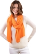 Cashmere accessories scarf mufflers zory nectarine 200 x 50 cm