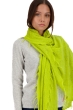 Cashmere accessories tresor chartreuse 200 cm x 90 cm