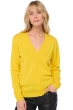 Cashmere ladies basic sweaters at low prices taline first daffodil m