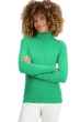 Cashmere ladies roll neck tale first midori s