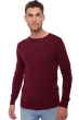 Cashmere men basic sweaters at low prices tao first burgundy s