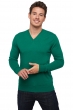 Cashmere men basic sweaters at low prices tor green grass m
