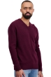 Cashmere men basic sweaters at low prices tour first bordeaux m