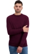 Cashmere men basic sweaters at low prices touraine first bordeaux s