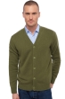 Cashmere men chunky sweater leon ivy green m