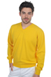 Cashmere men gaspard cyber yellow s
