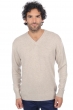 Cashmere men premium sweaters hippolyte 4f premium pema natural xs