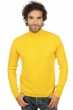 Cashmere men roll neck frederic cyber yellow l
