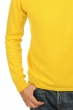 Cashmere men roll neck frederic cyber yellow s