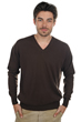 Cashmere men timeless classics hippolyte seal brown m