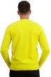Cashmere men v necks hippolyte 4f jaune citric m